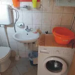 Vjeka *